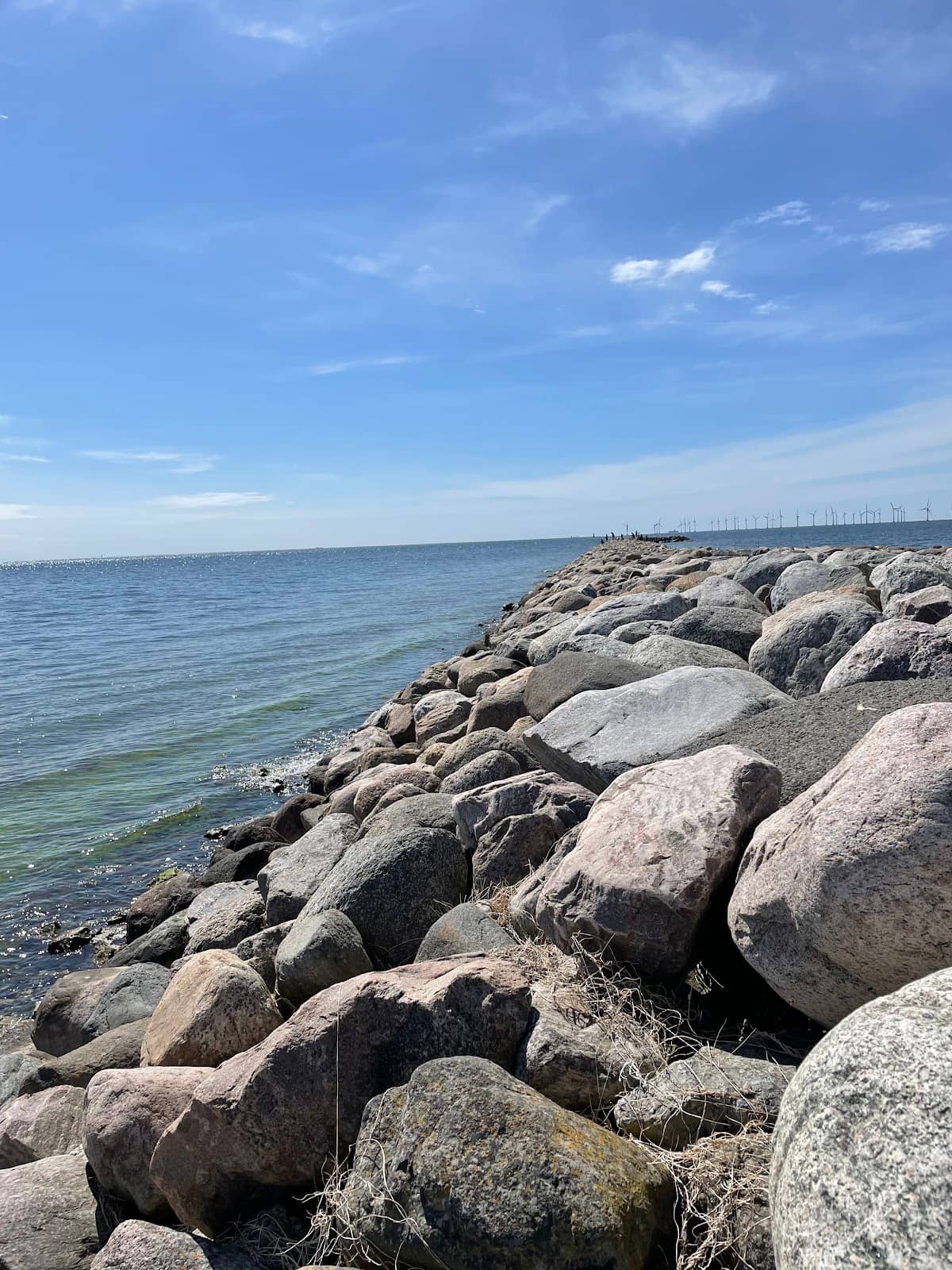 Birdwatching Opportunities