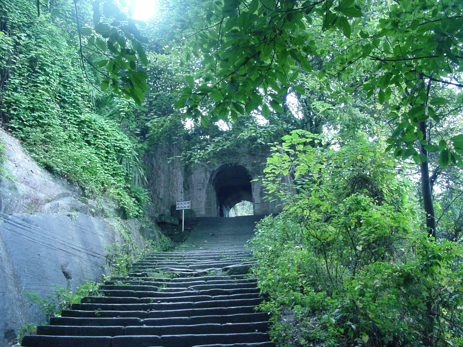 Vertical photo