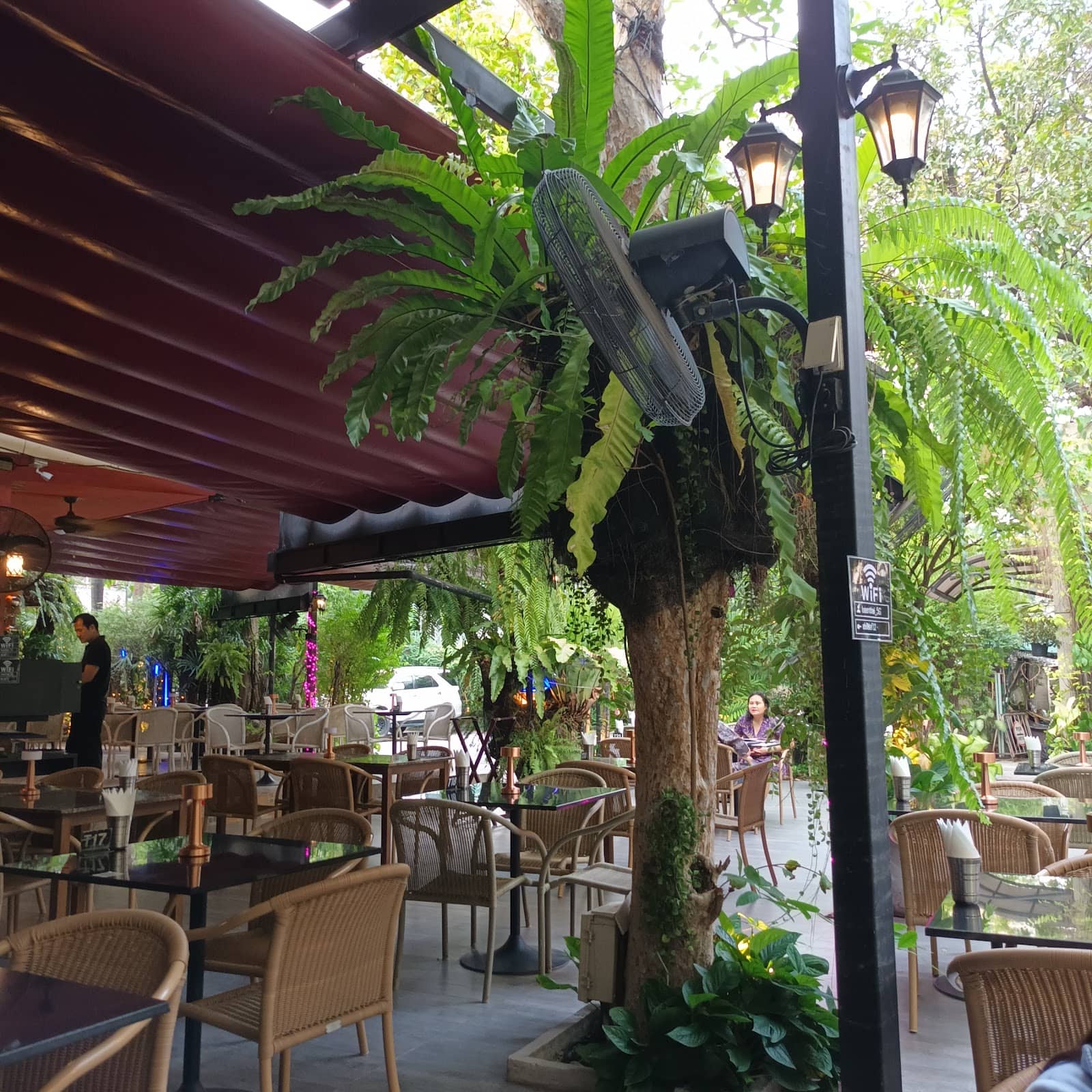 Delectable Thai Cuisine