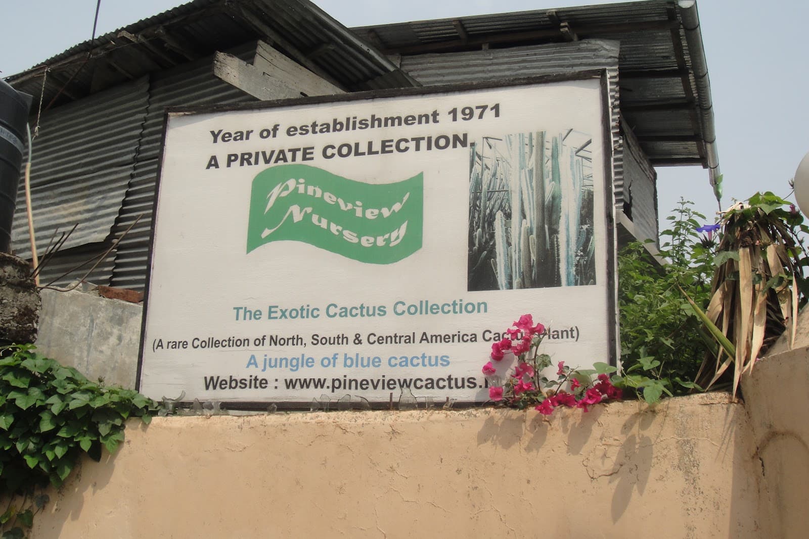 Ganesh Mani Pradhan Orchid Nursery - Image 1