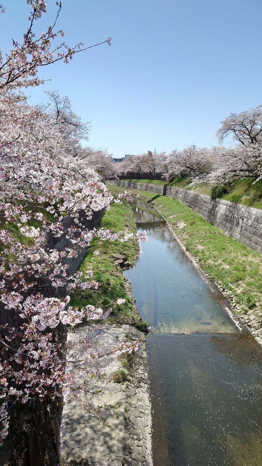 Yamazaki River Promenade - Image 1