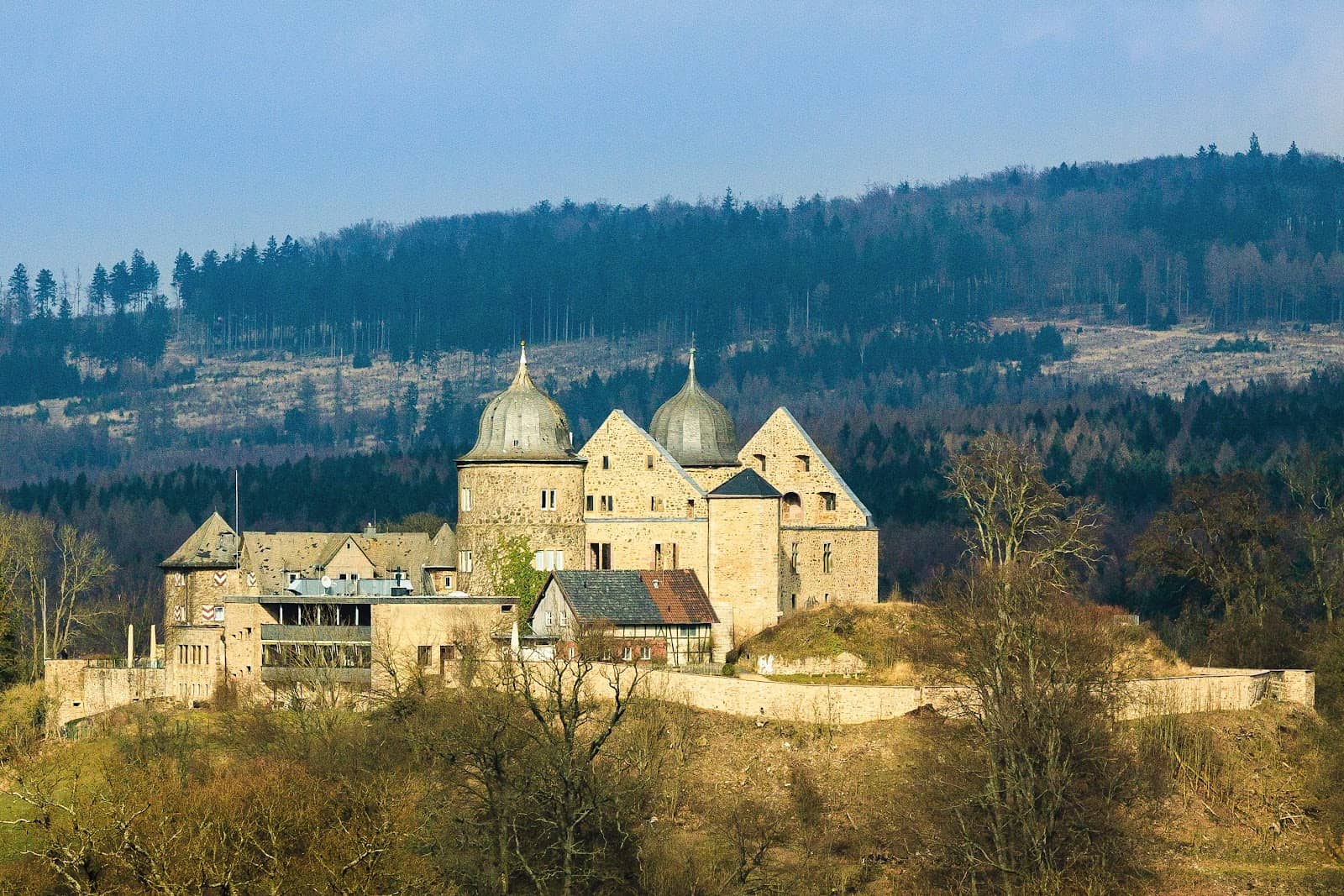 Reinhardswald Forest