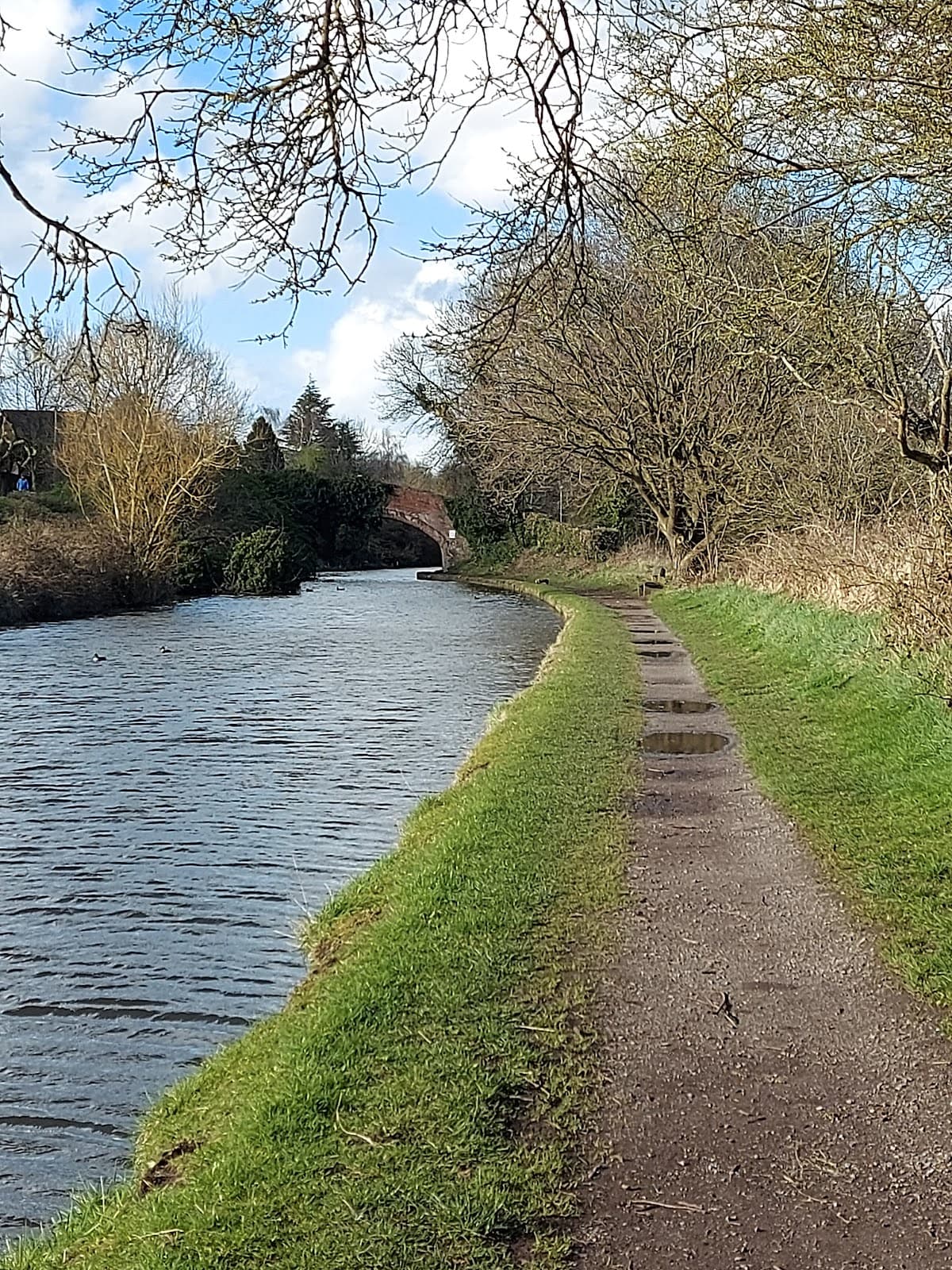 Bridgewater Canal Salford - Image 1