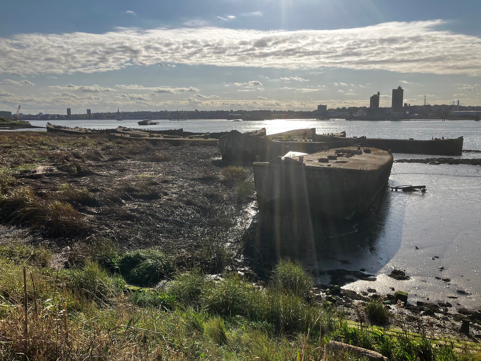 The Diver (Rainham) - Image 1
