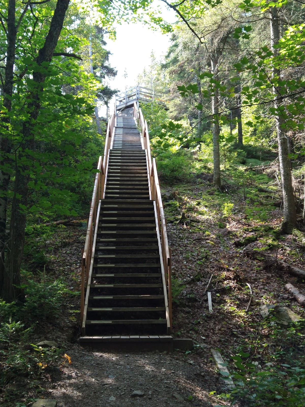 Montagne à Coton Trail - Image 1