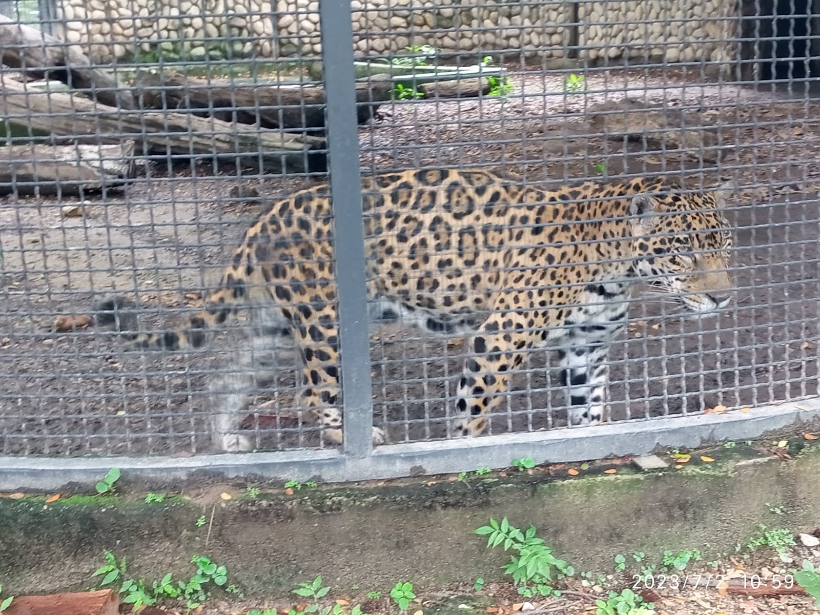 Parque Las Delicias - Image 1