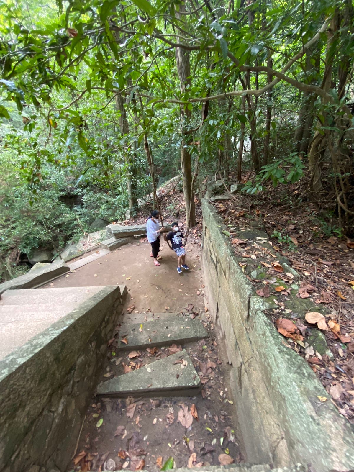 Ritigala Forest Monastery - Image 1