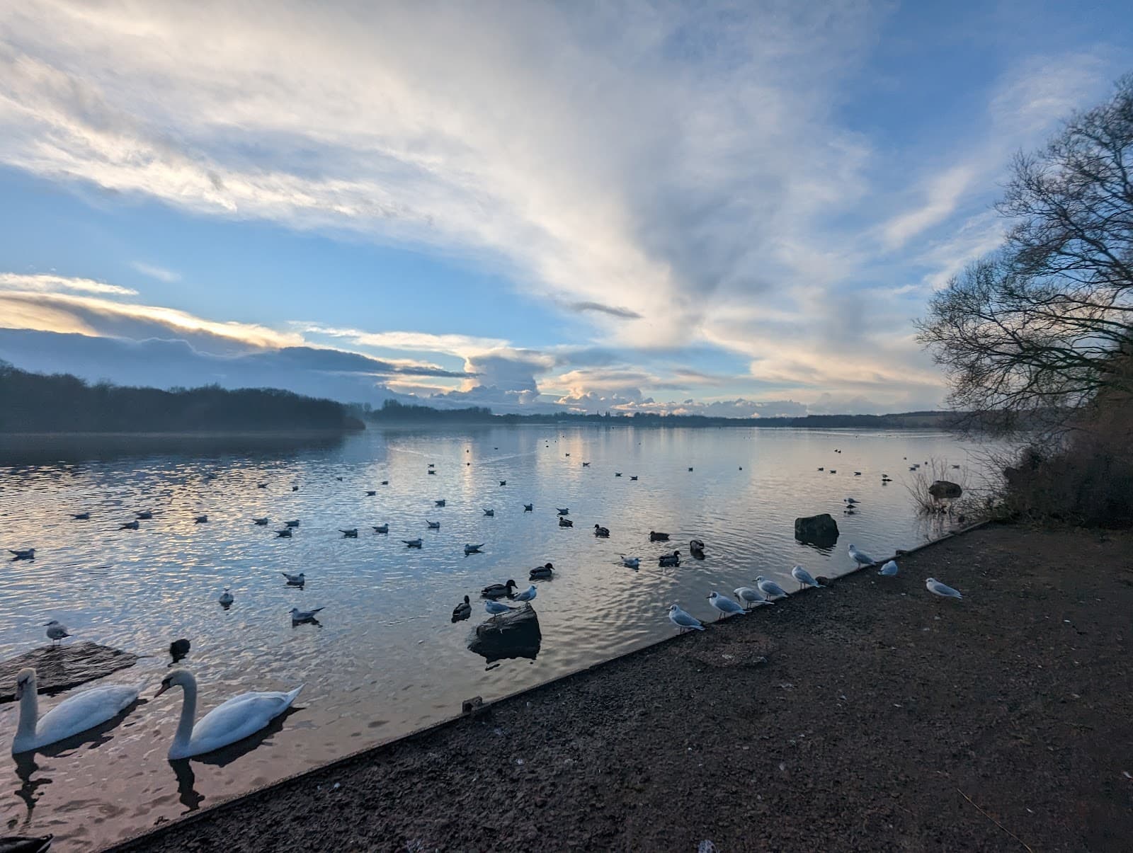 Pennington Flash Country Park - Image 1