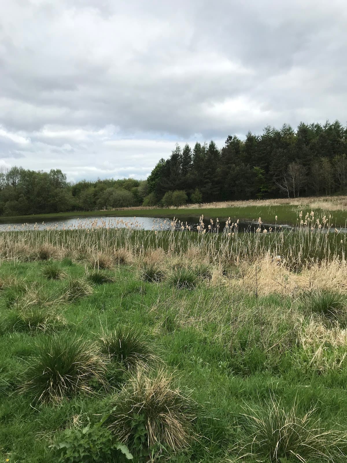 St Maurice's Pond - Image 1