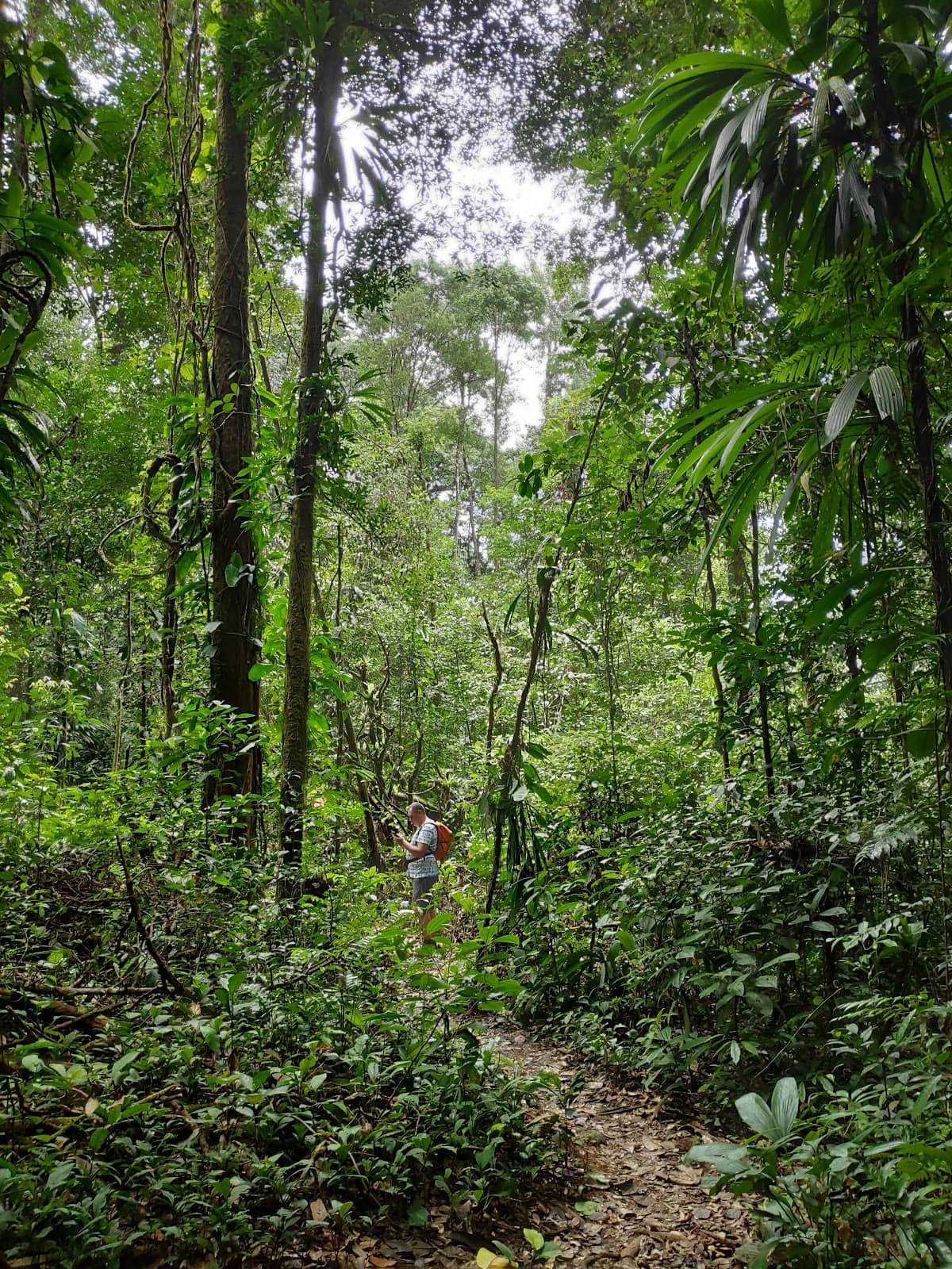 Local Meal Experience