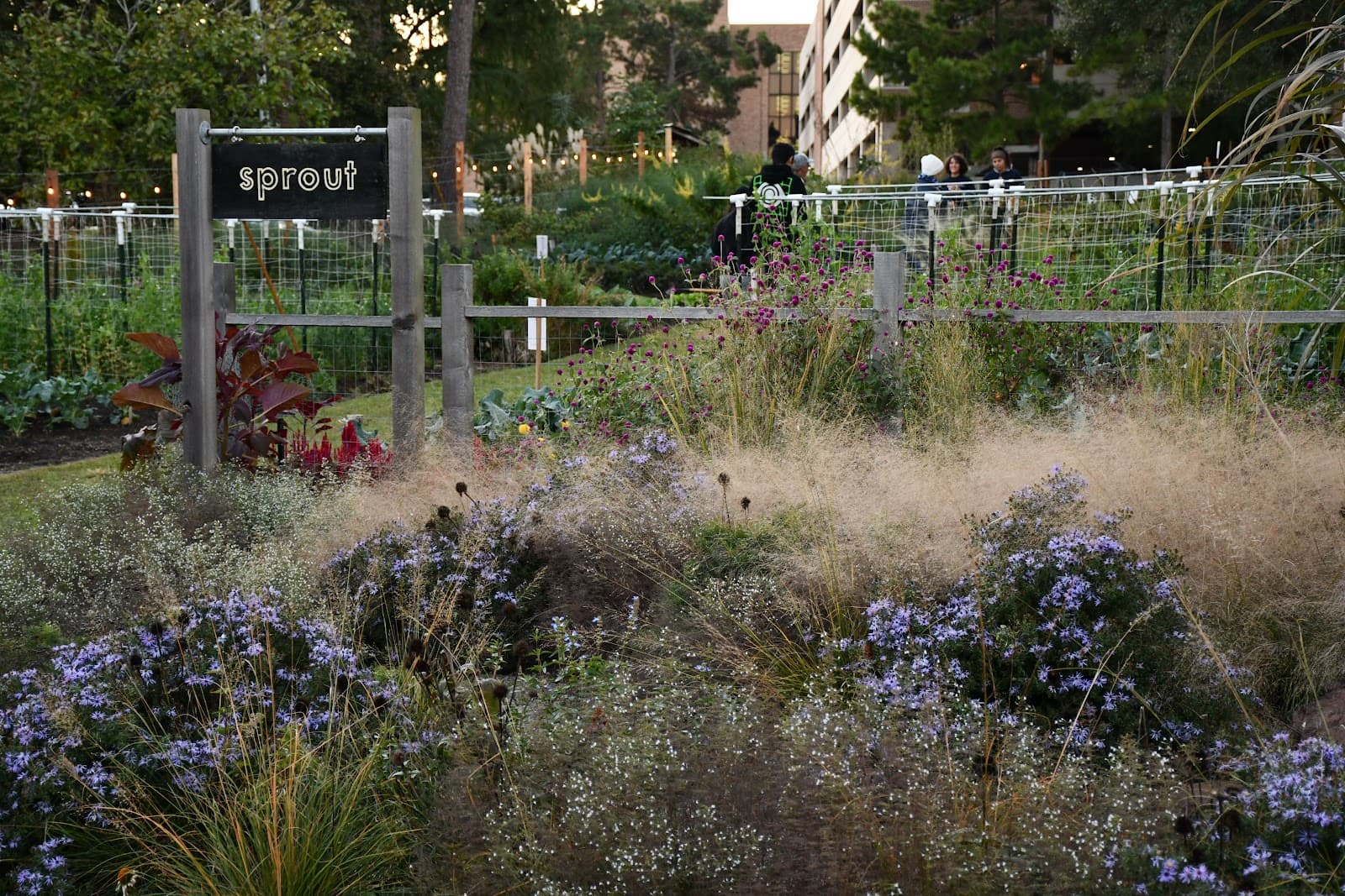 SFA Mast Arboretum - Image 1