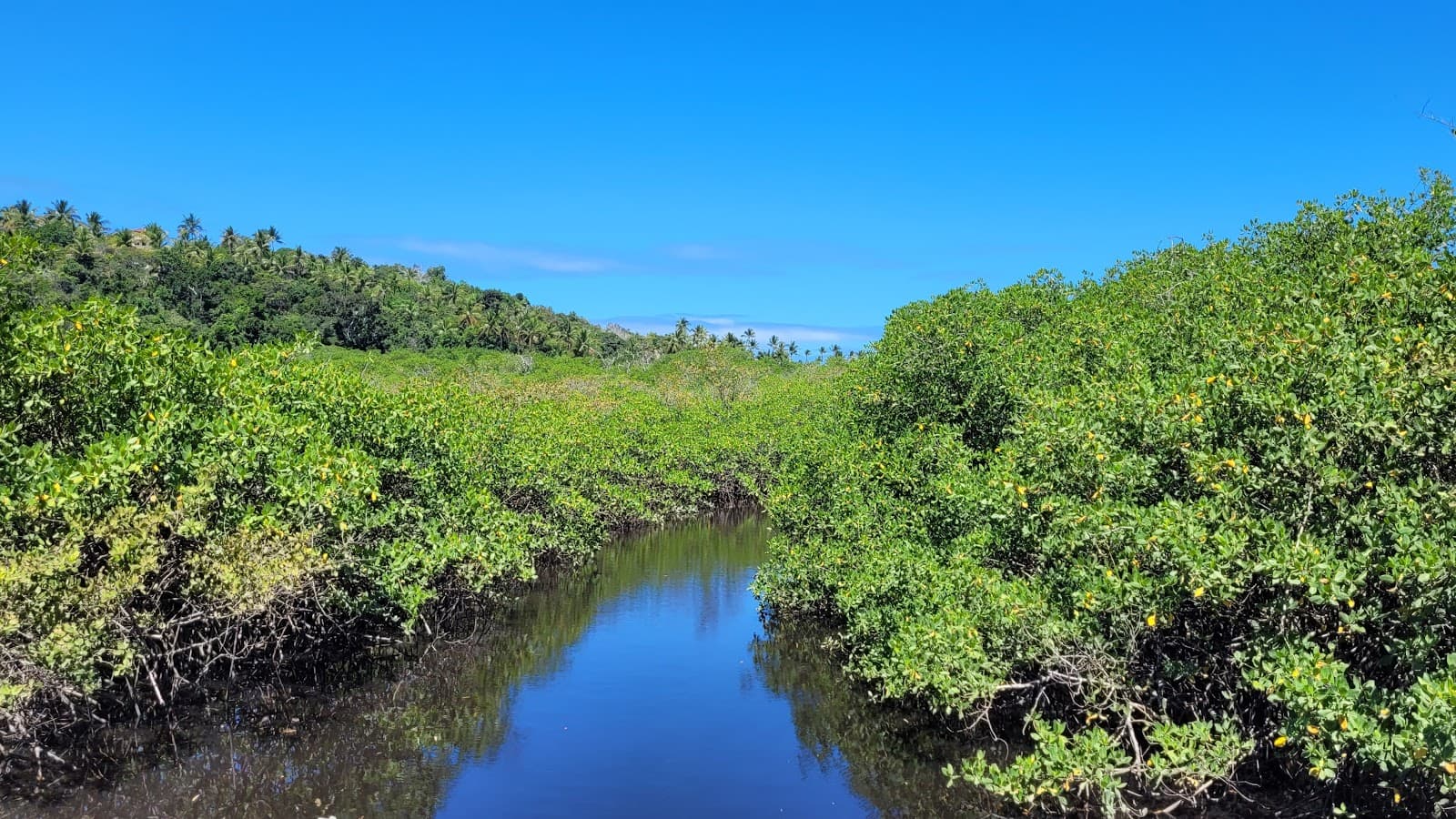 Rio Trancoso Estuary - Image 1