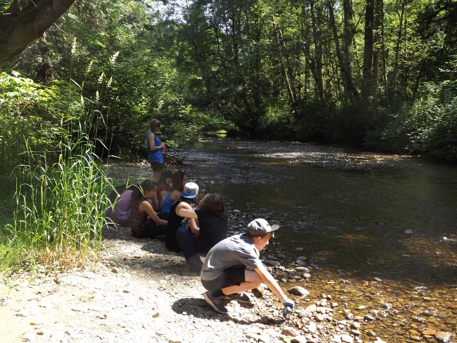 Kanaka Creek Regional Park (Cliff Falls) - Image 1