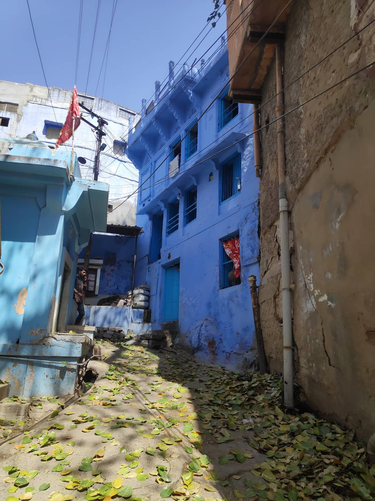 Vertical photo