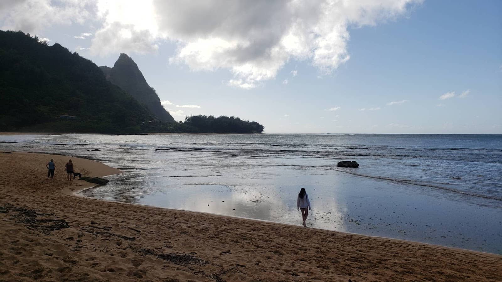 Jurassic Park Views