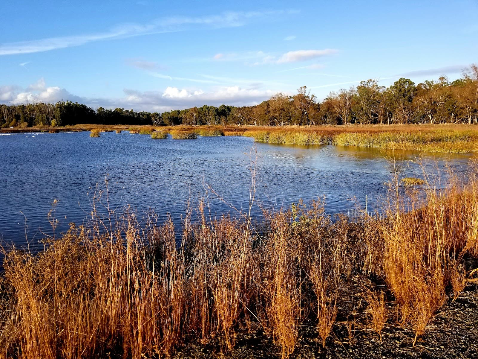 American Canyon Wetlands Edge Park - Image 1