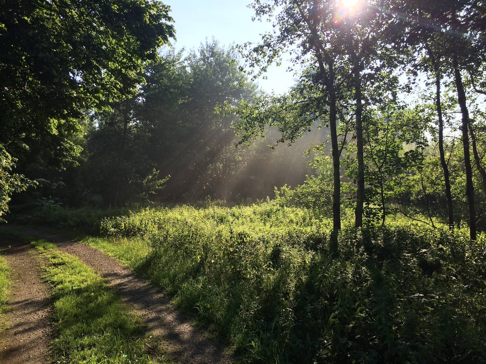 Family Nature Discovery