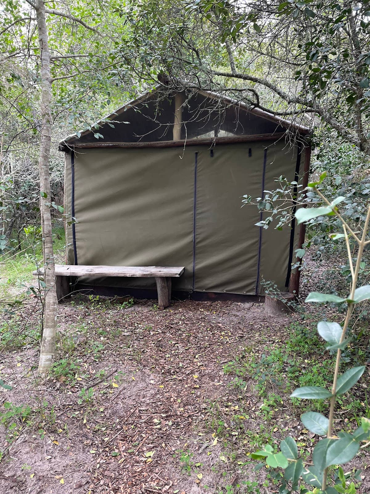Owl Camp Solitude