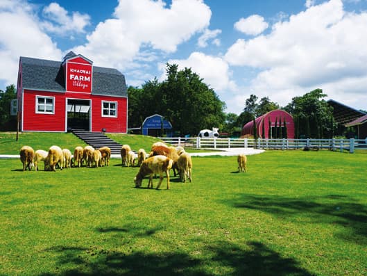 Khao Yai Panorama Farm - Image 1