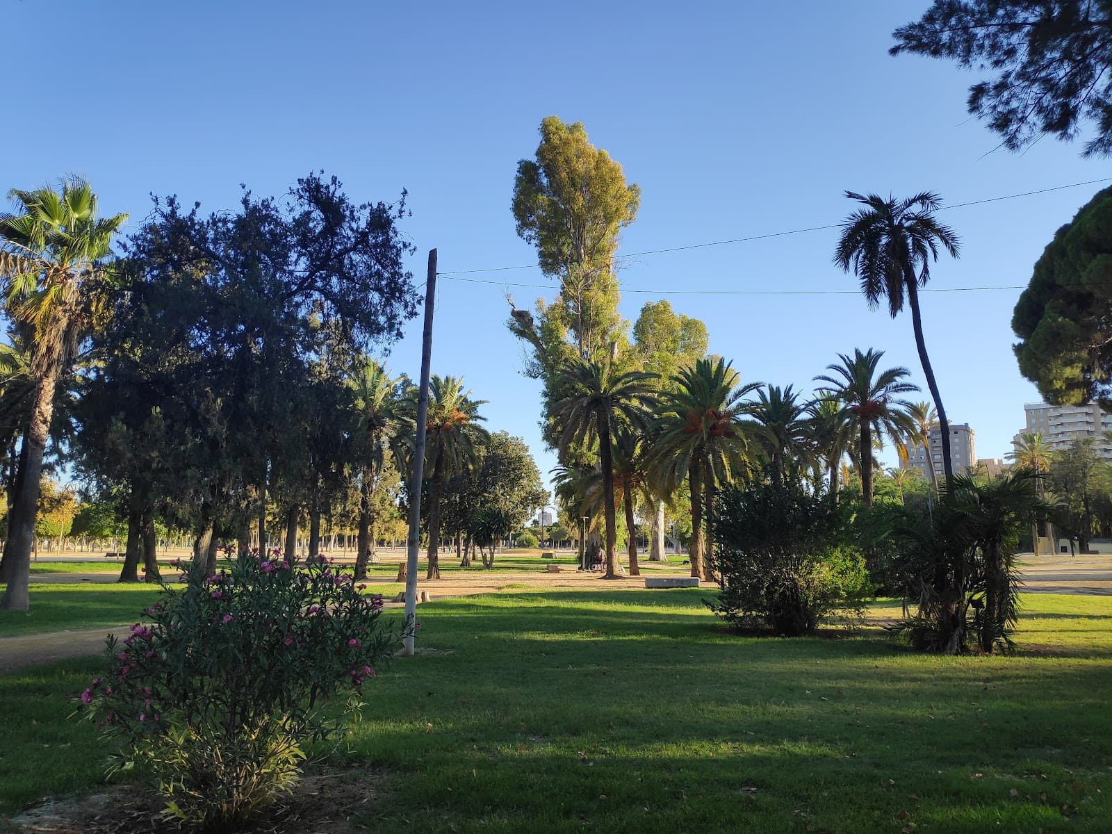 Parque González Hontoria Cádiz - Image 1