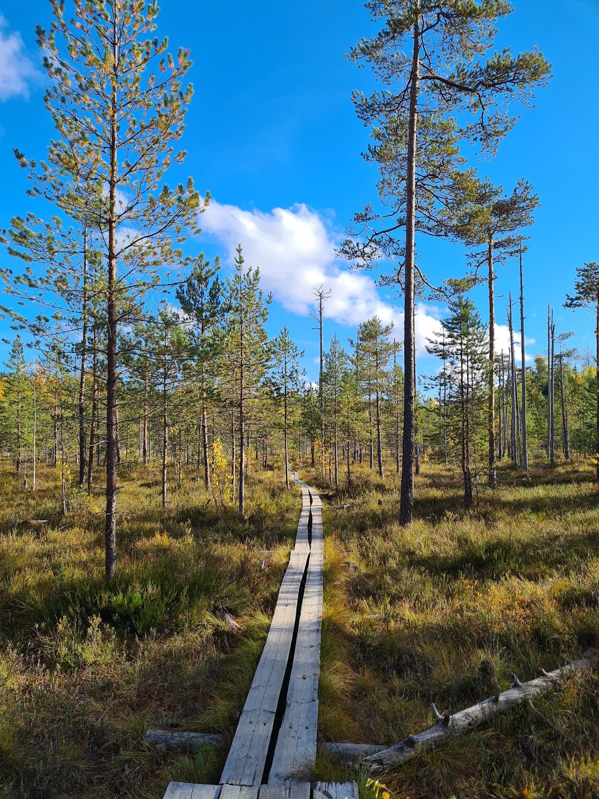 Tremanskärr Nature Reserve - Image 1