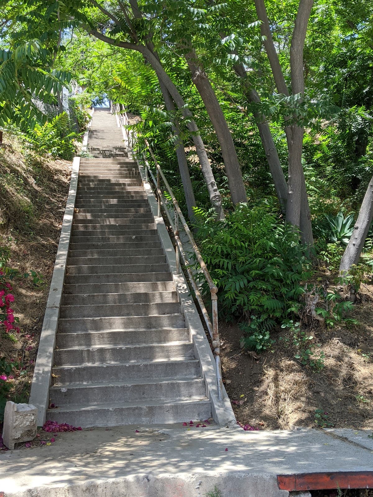 3 Ts Trail - Image 1