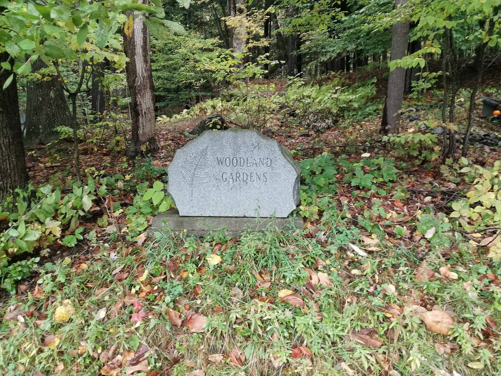Elijah Bond's Grave
