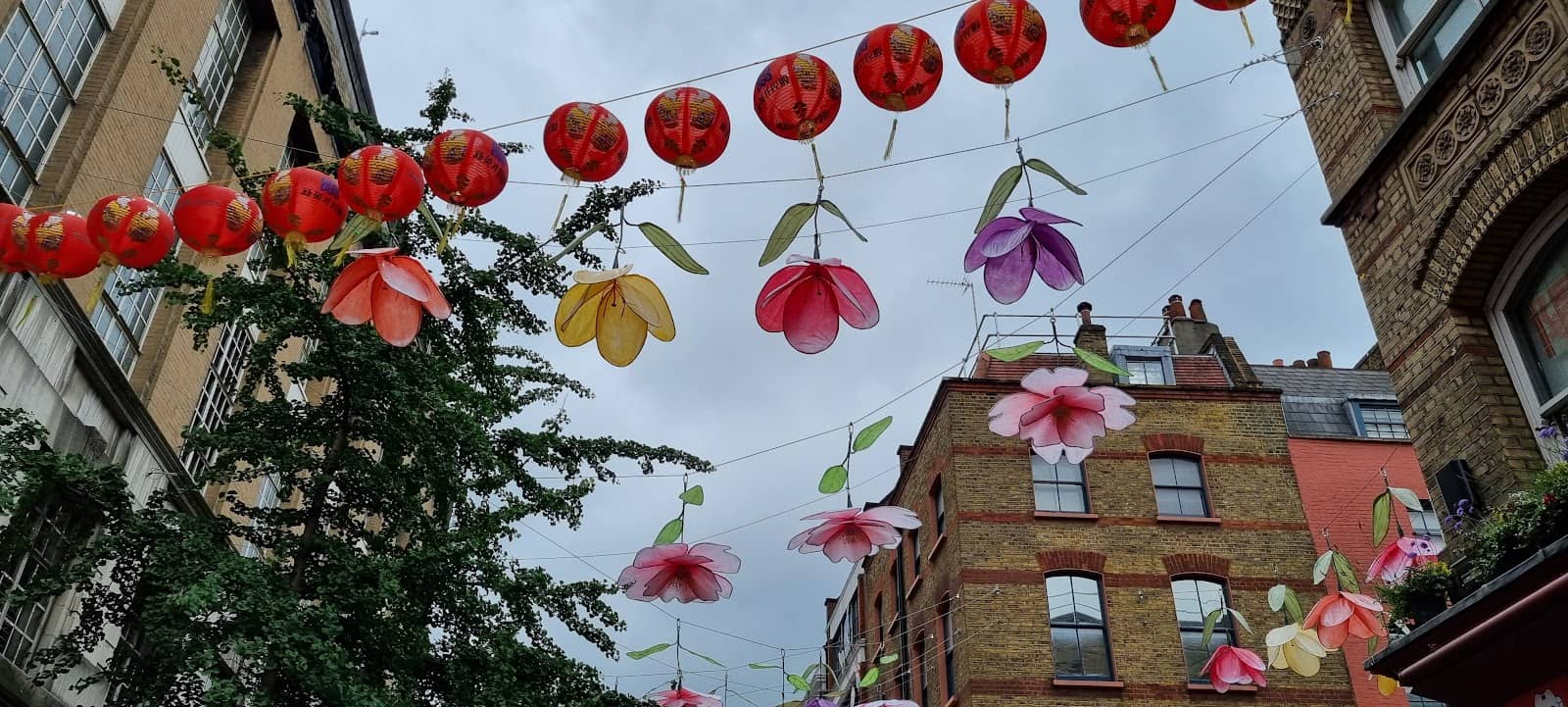 Colorful Lantern Displays