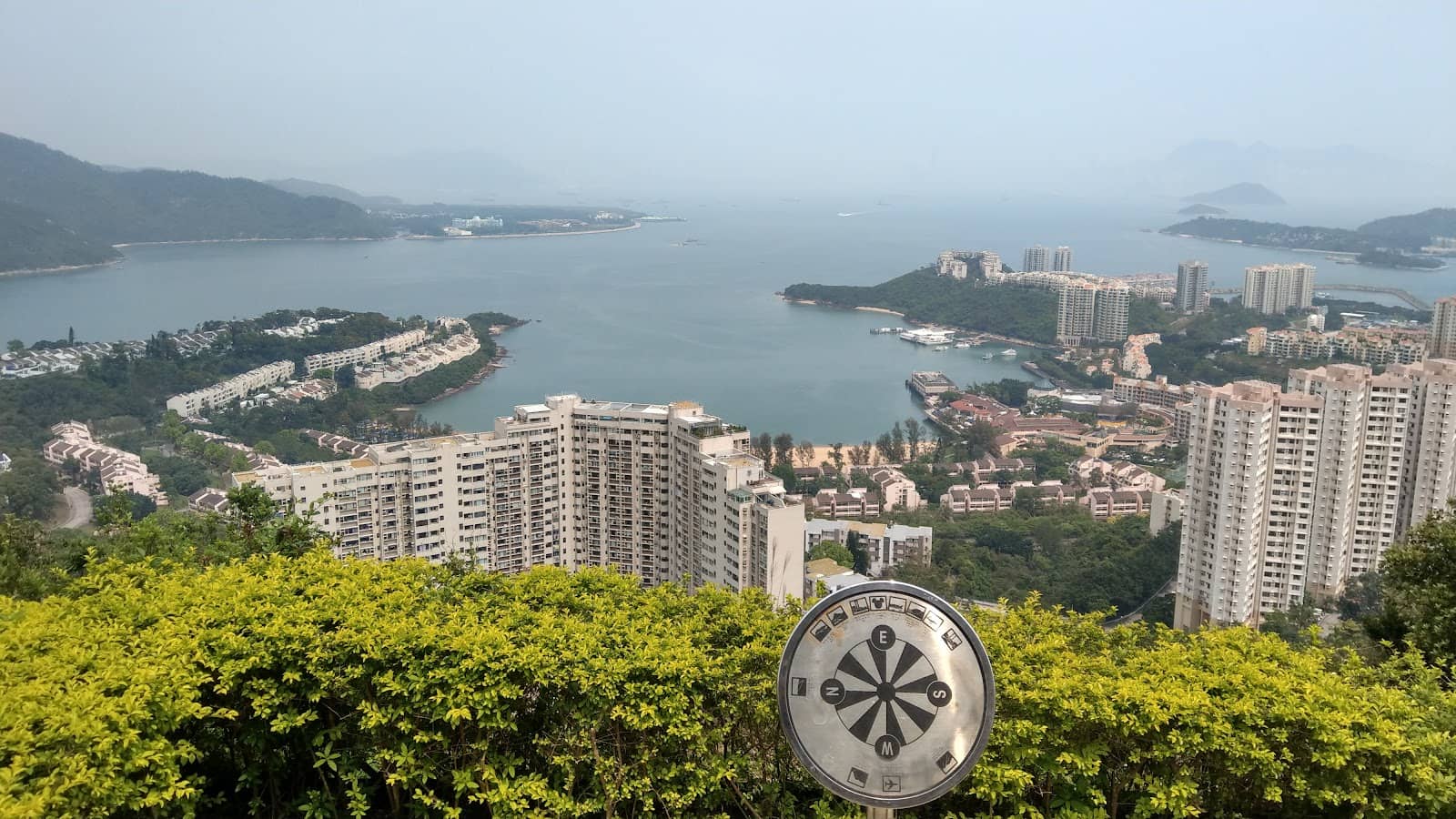Lush Rainforest Path