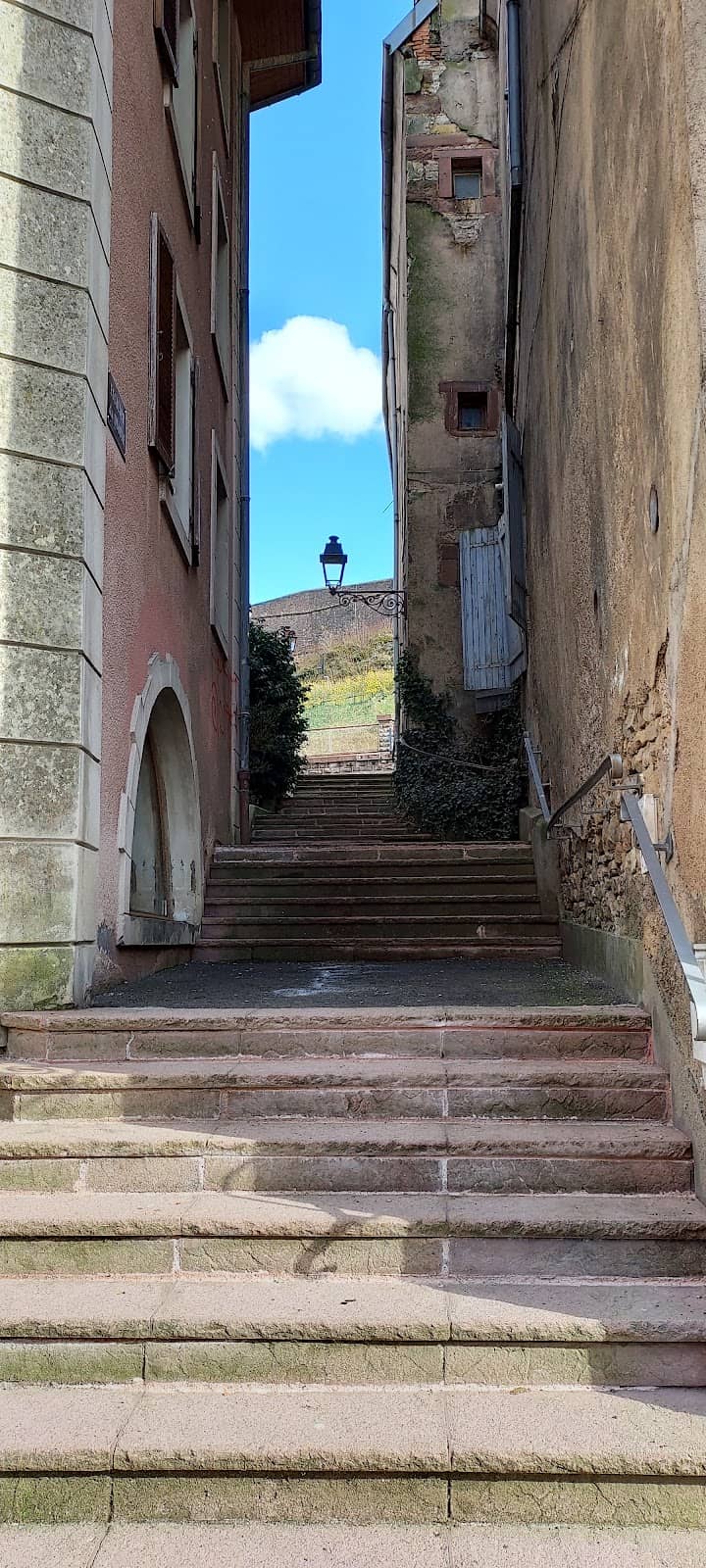 Vertical photo