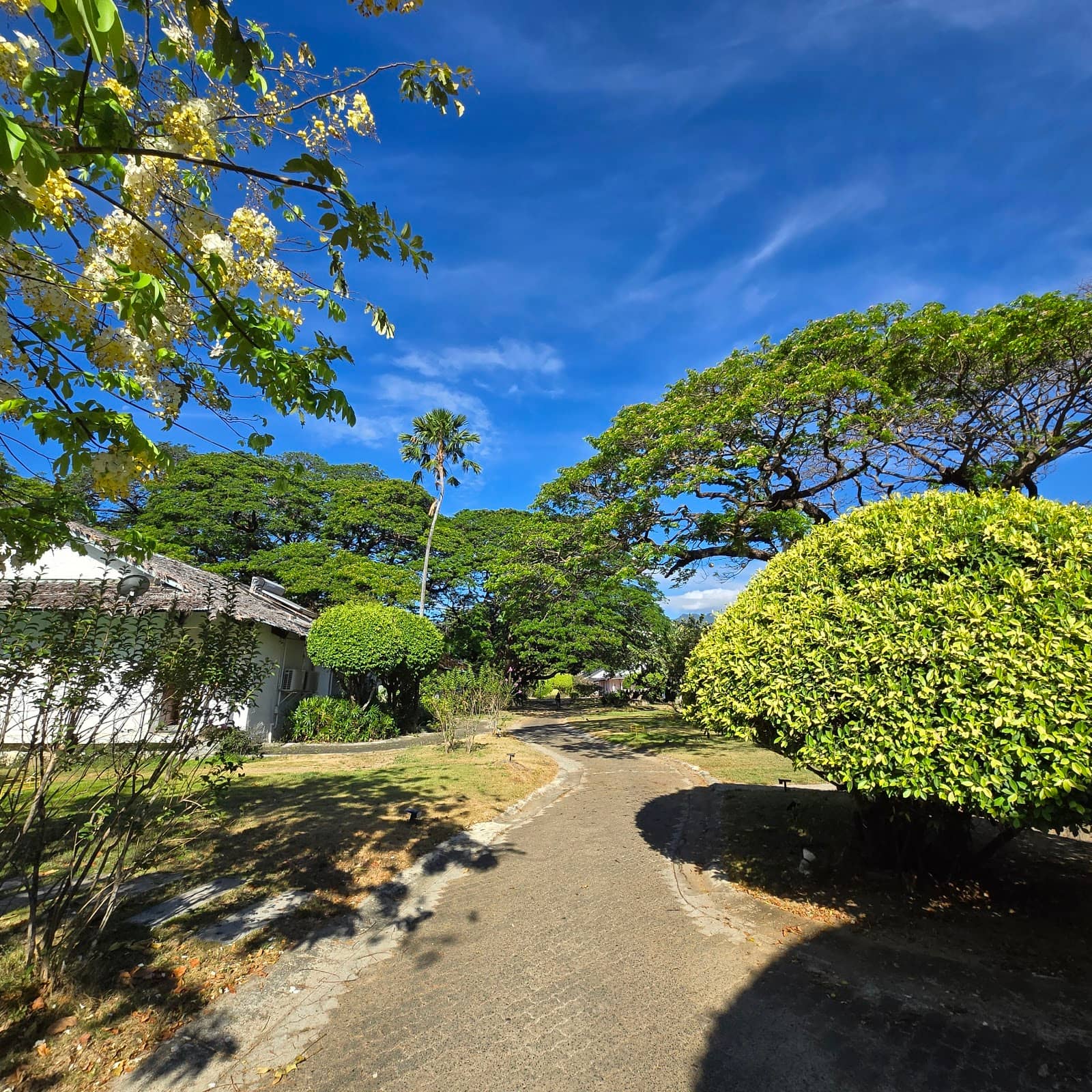 Clear Waters and Good Food