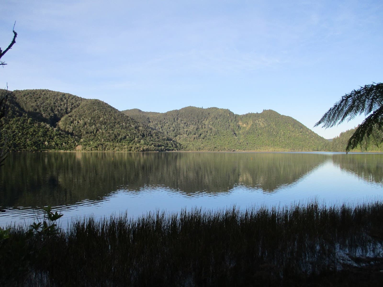 Lake Tikitapu (Blue Lake) Rotorua - Image 1
