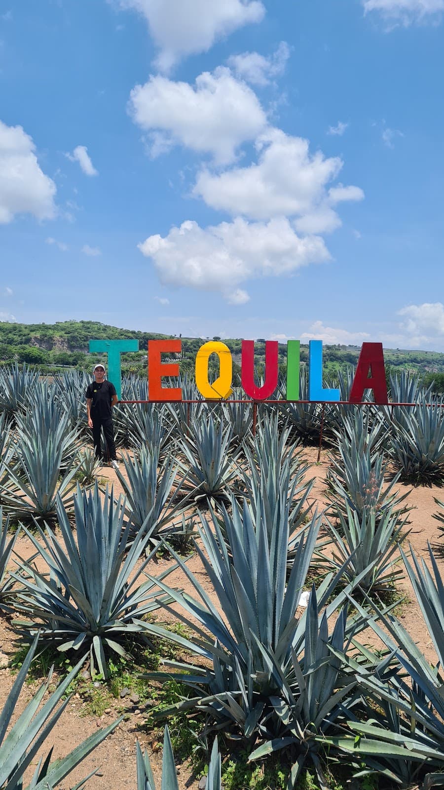 Tequila Pueblo Mágico - Image 1