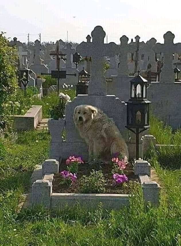 Carabanchel Neighborhood - Image 1