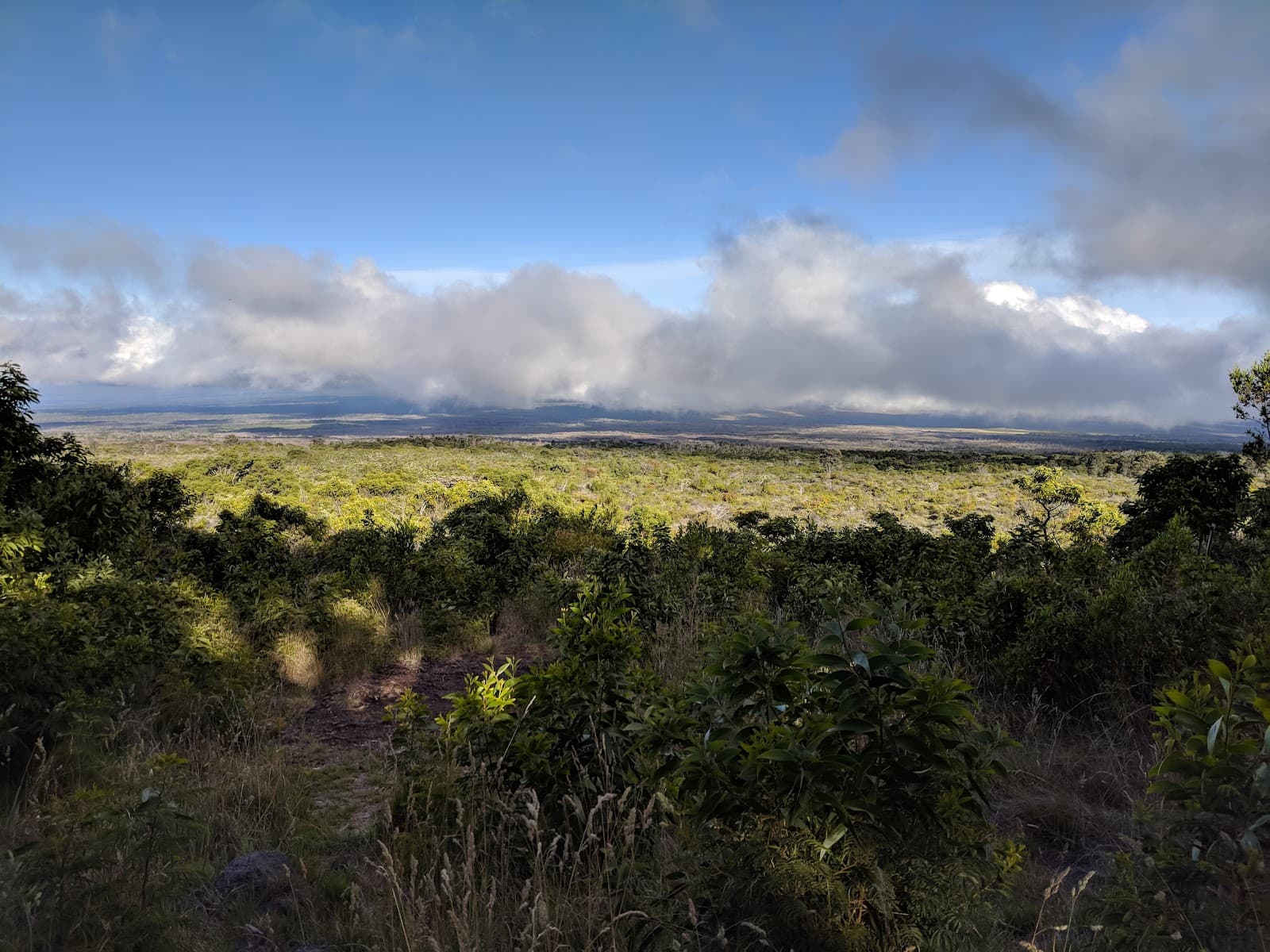 Mauna Loa Lookout Hawaii - Image 1