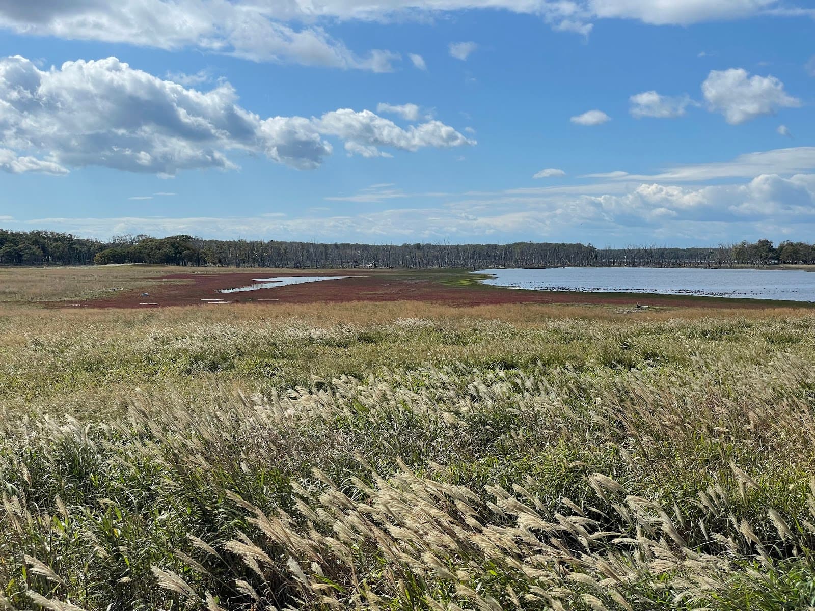 Notsuke Peninsula - Image 1