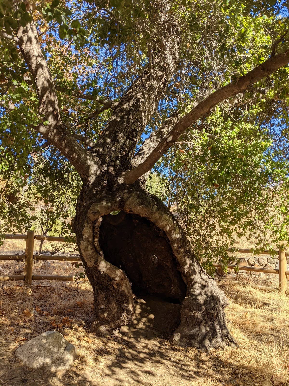 Historical Homestead and Museum