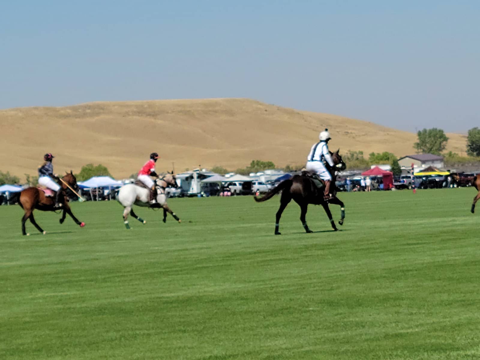 Cowboy Polo Fun
