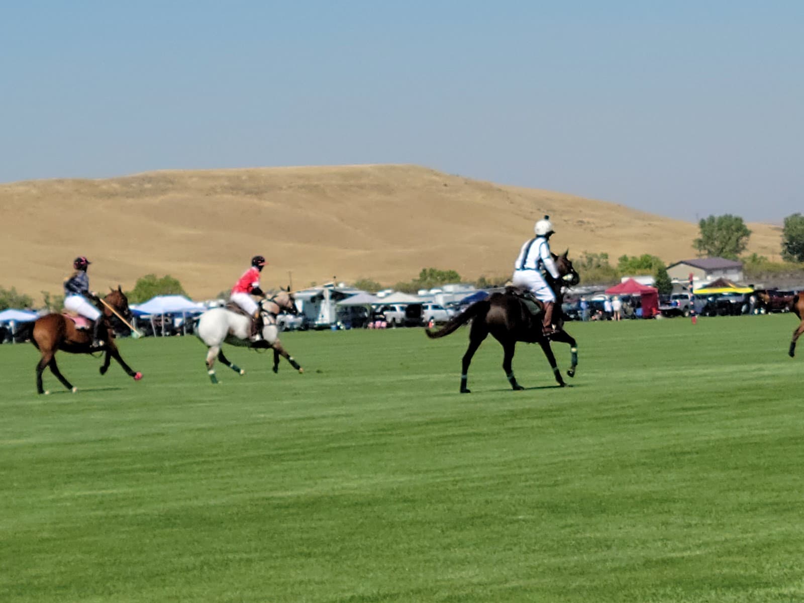 Big Horn Equestrian Center (Polo) - Image 1