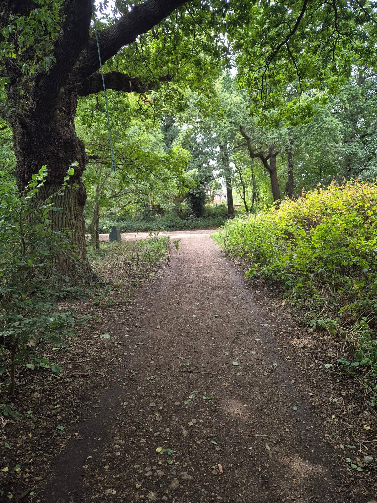 Shady Summer Retreat