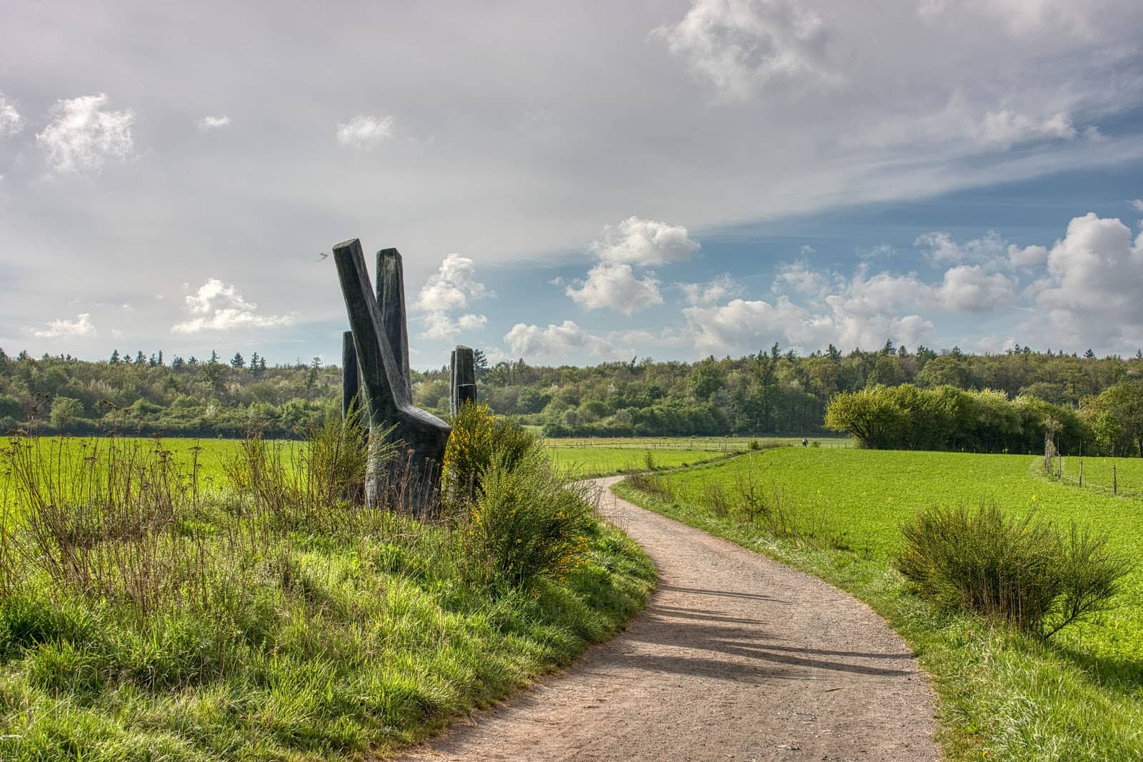 Scenic Walking Paths