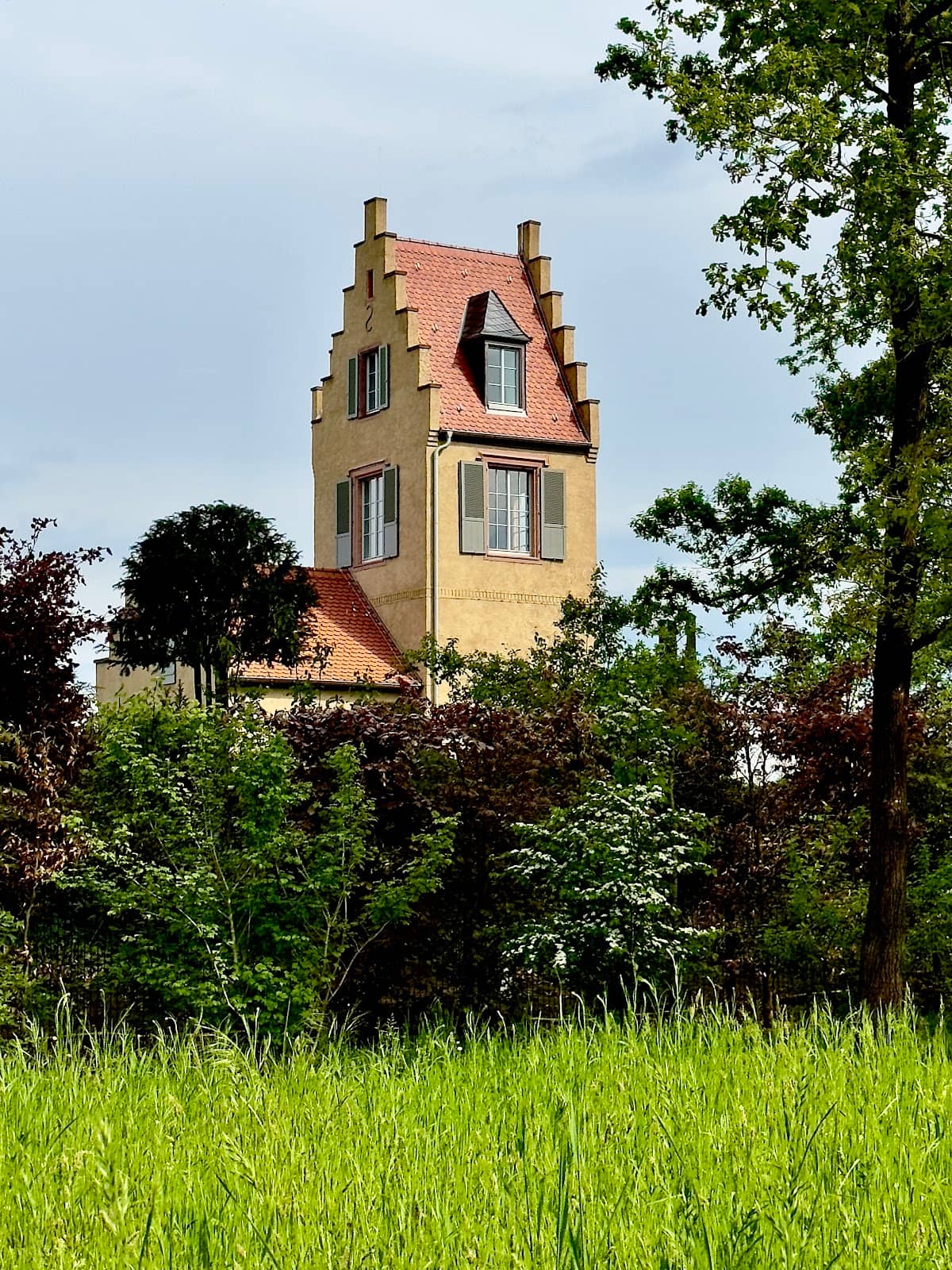 Vertical photo