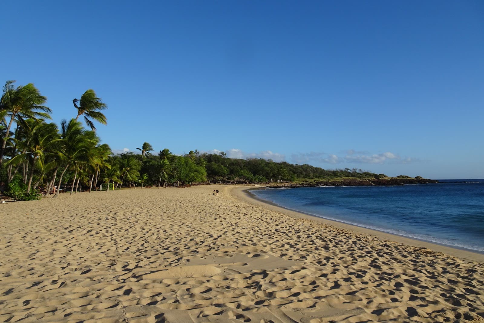 Hulopoe Beach Park - Image 1