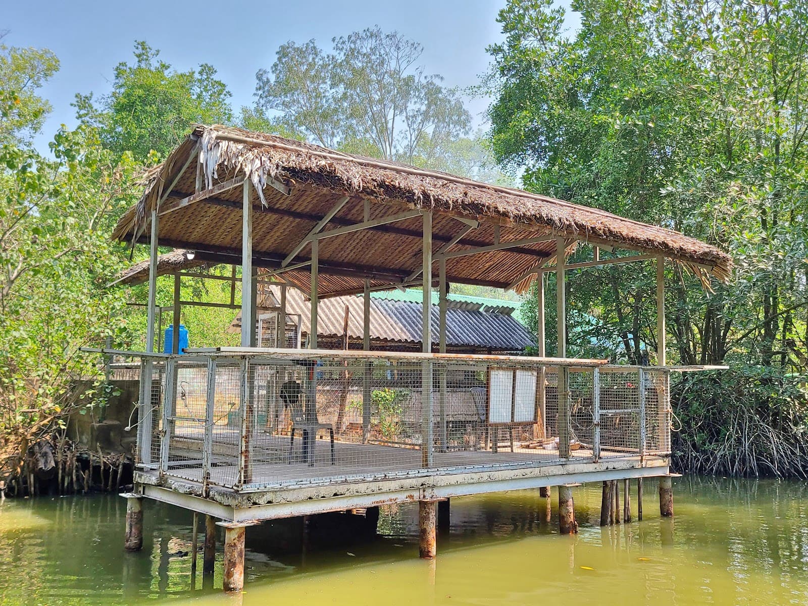 Vam Sat Mangrove Park - Image 1