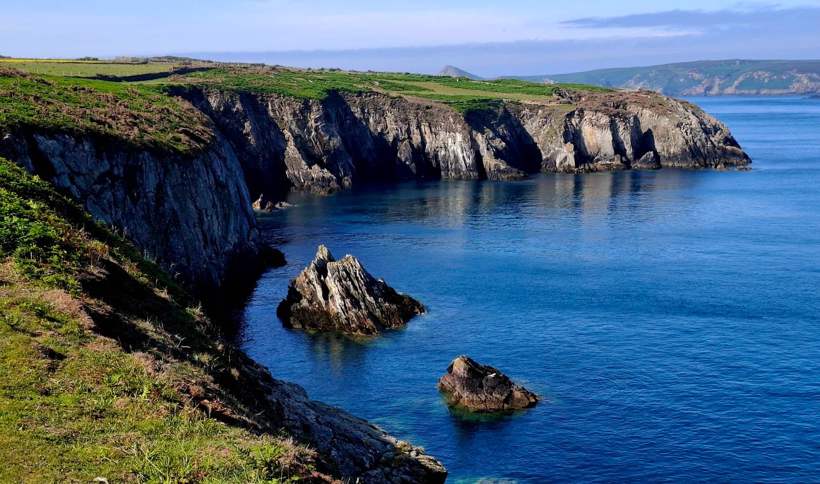 Skrinkle Haven