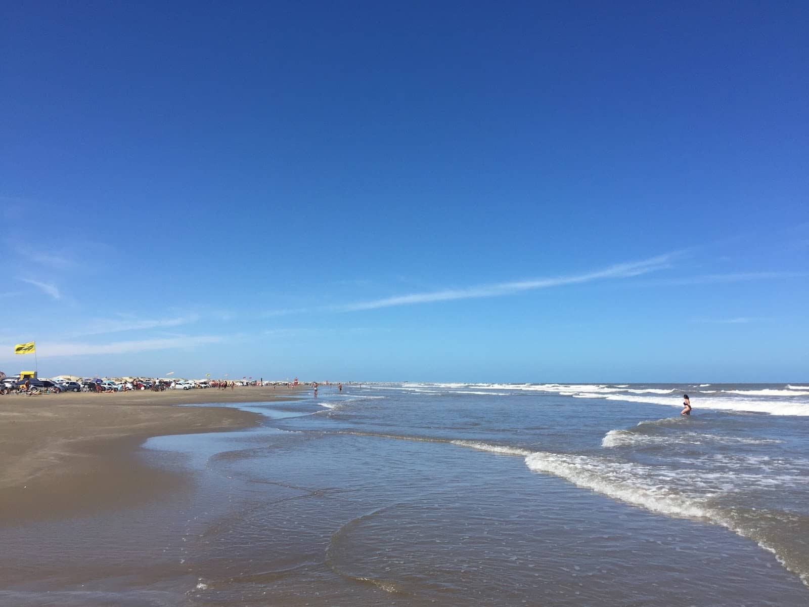 Elephant Seal Sightings