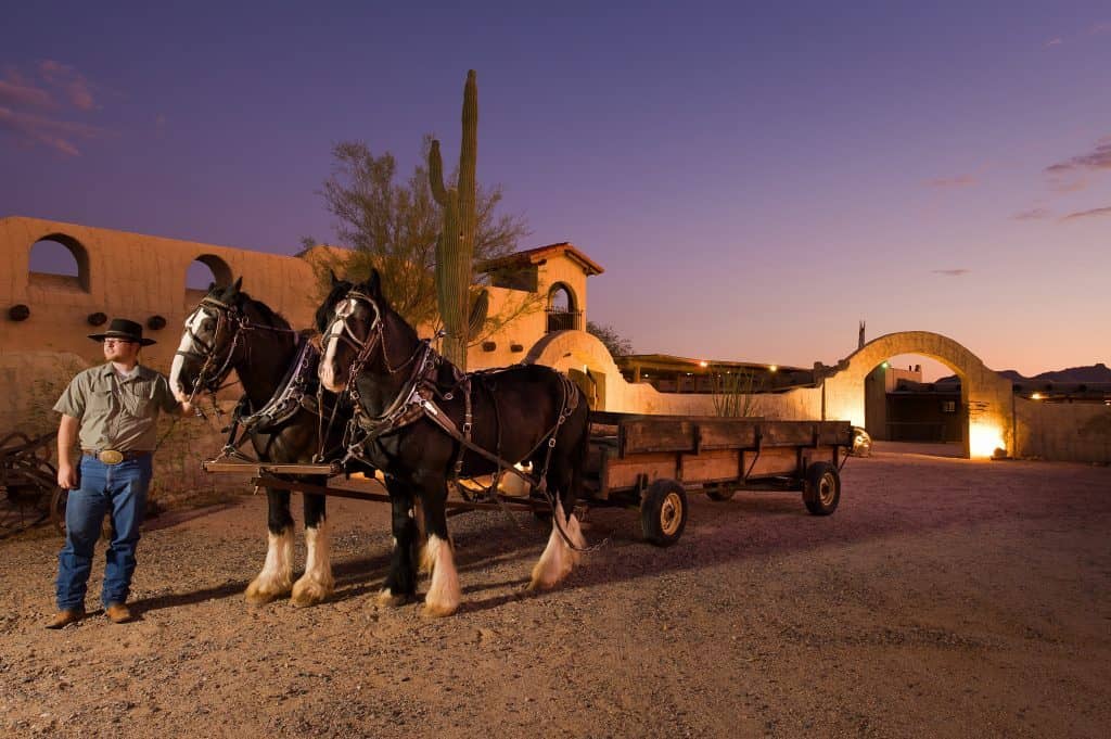 Authentic Desert Landscape