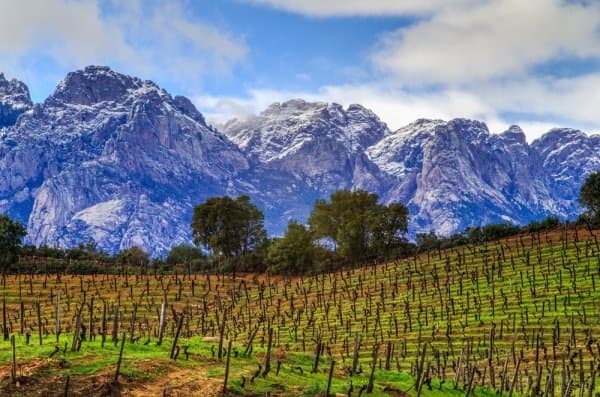 Domaine de Torraccia - Image 1