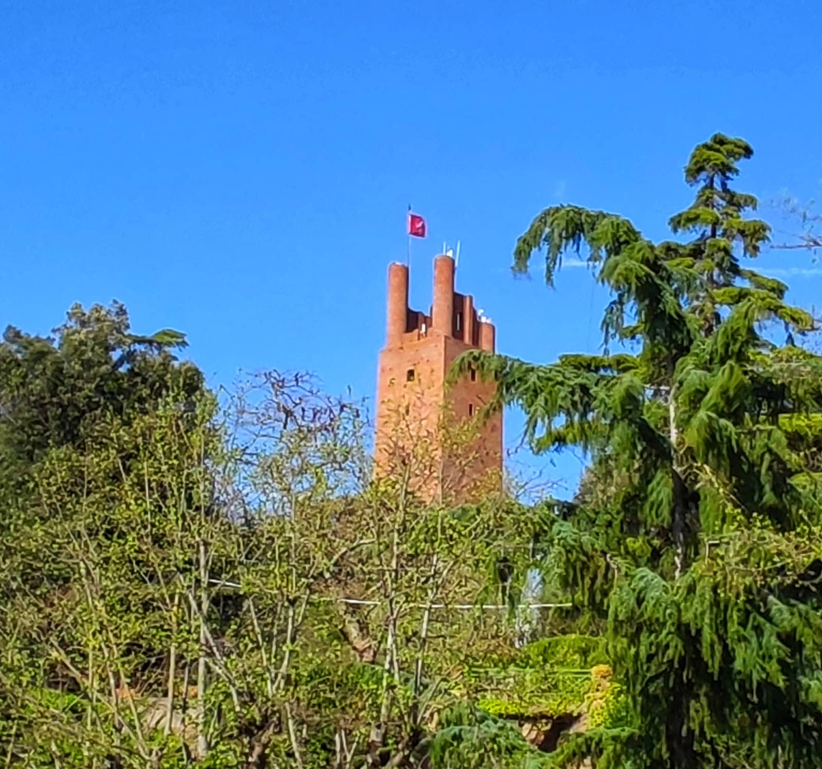 Vertical photo