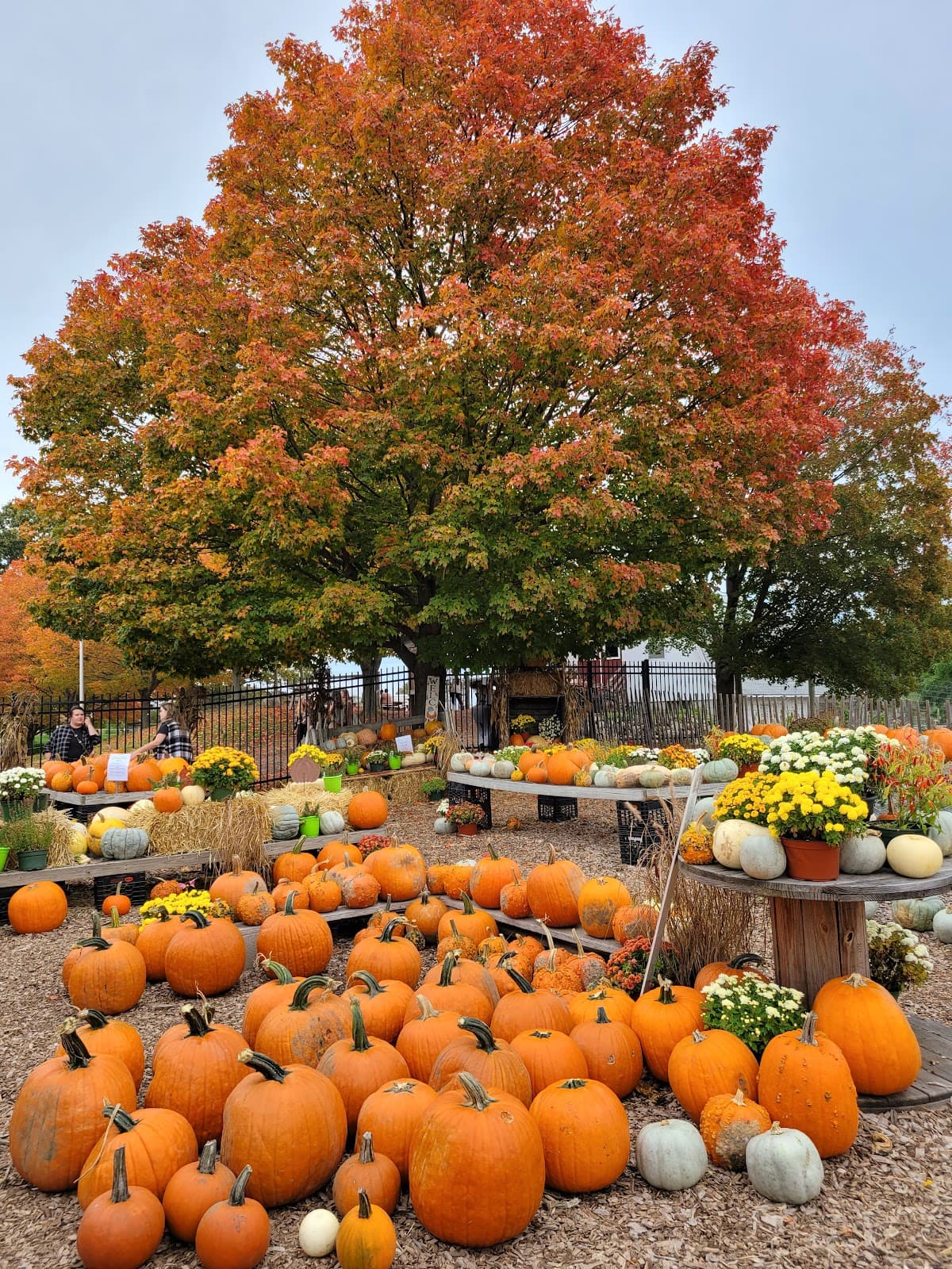 Brooksby Farm - Image 1